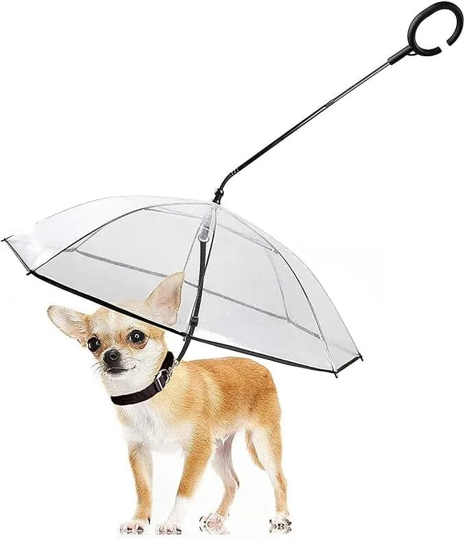 Dog Leash Umbrella 17$ TODAY ONLY