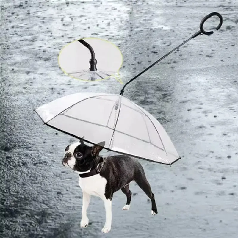 Dog Leash Umbrella 17$ TODAY ONLY