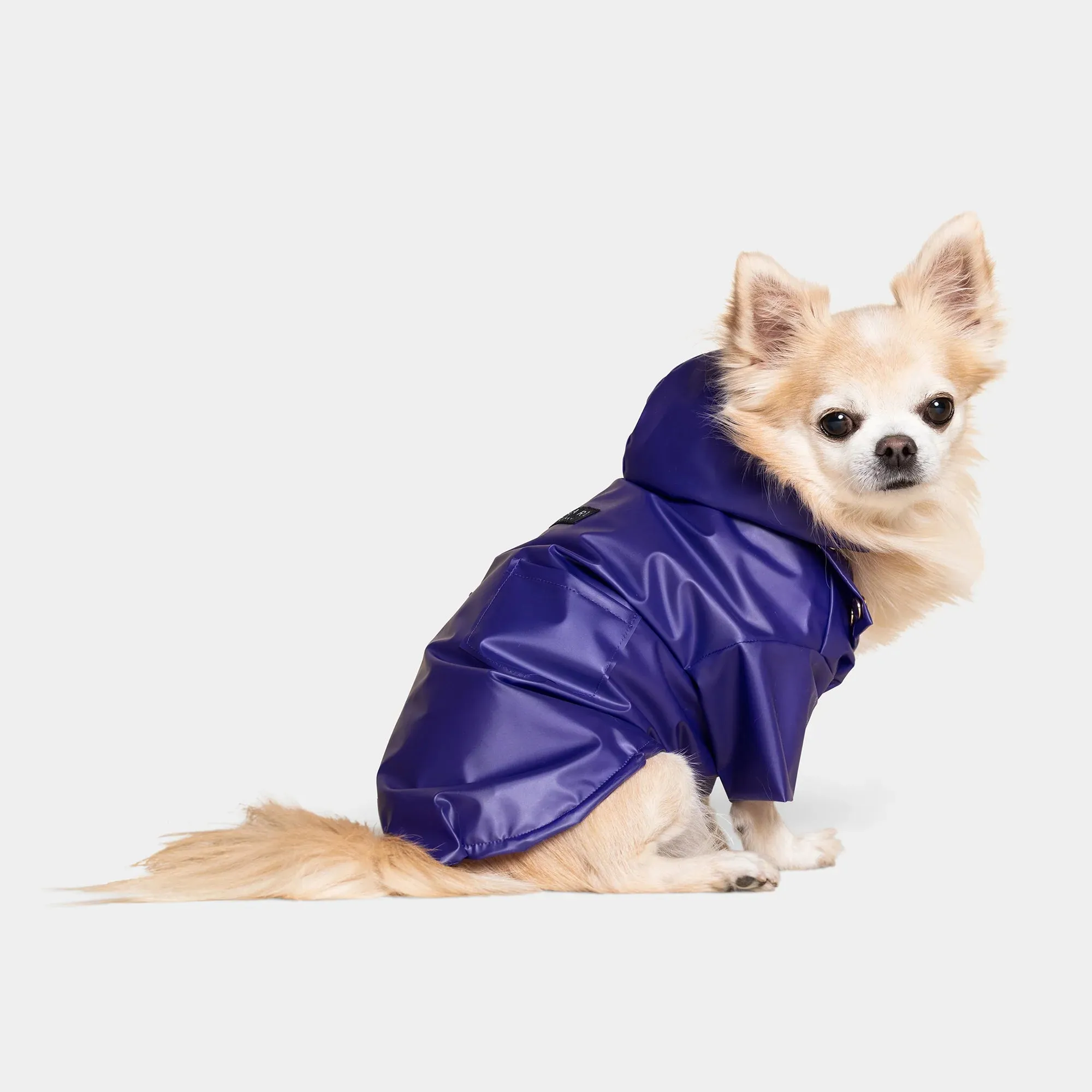 Perini Dog Raincoat