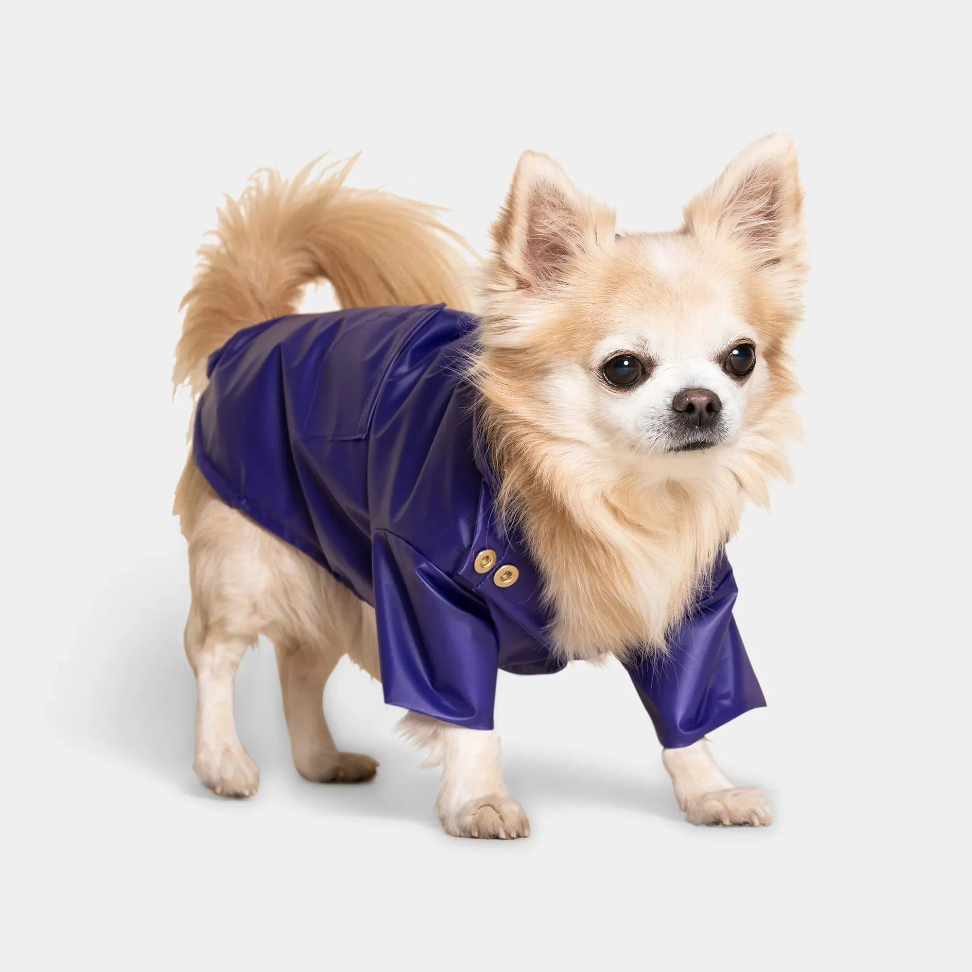 Perini Dog Raincoat