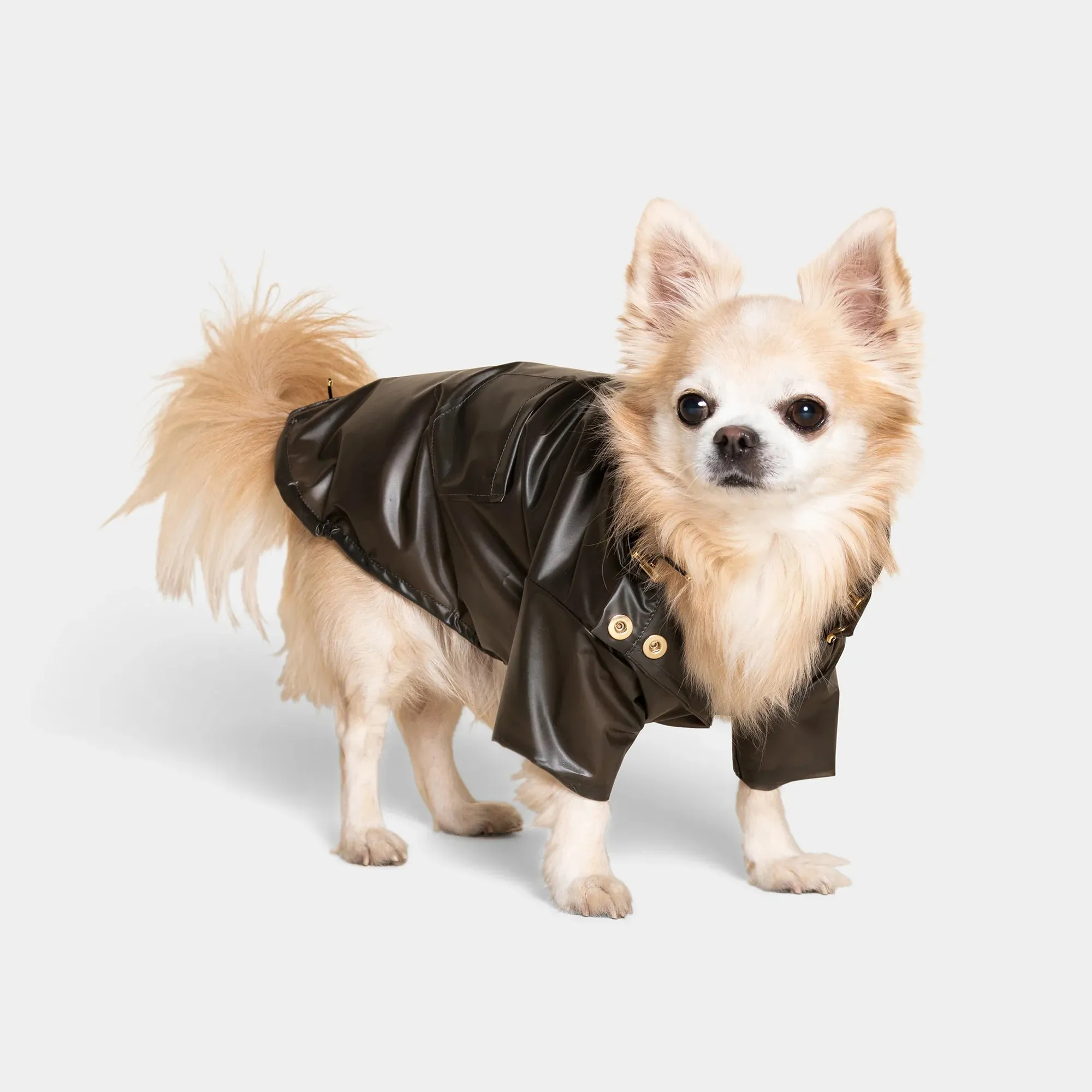 Perini Dog Raincoat