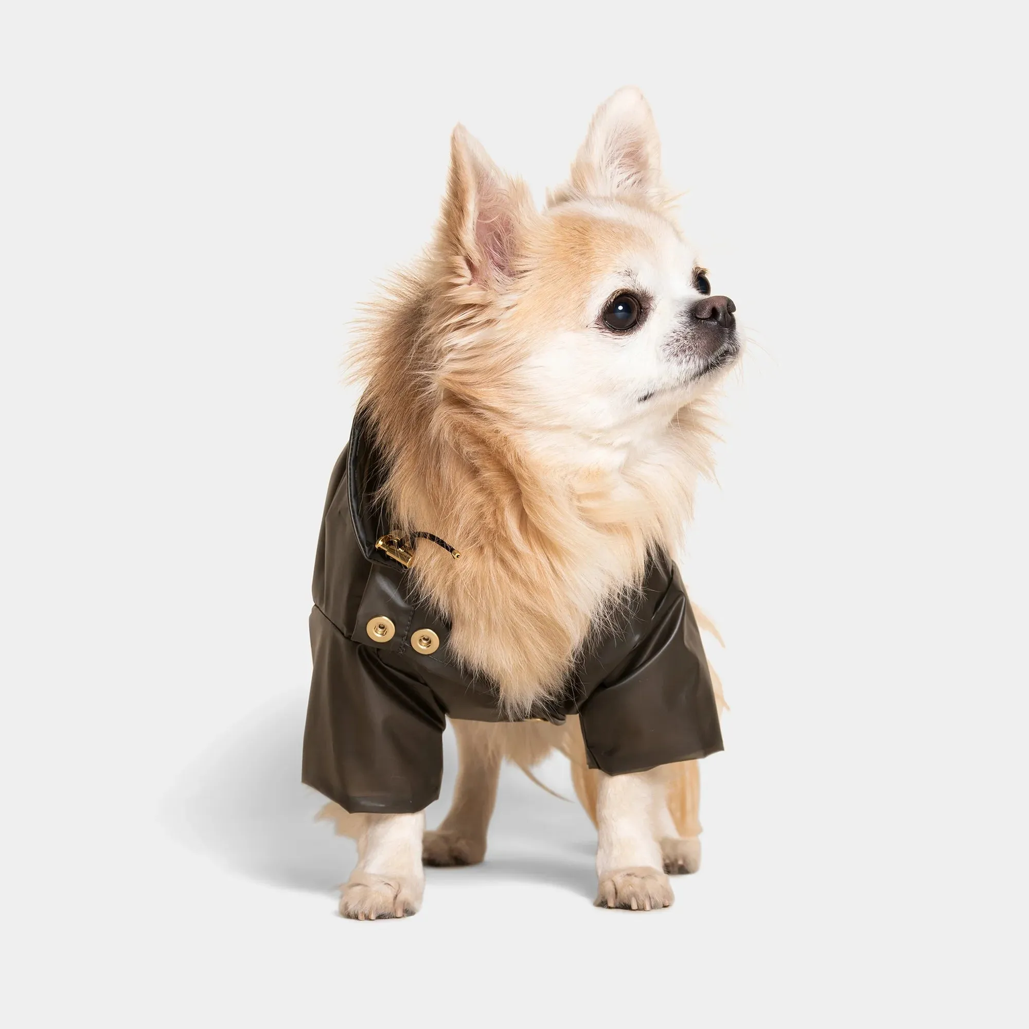 Perini Dog Raincoat