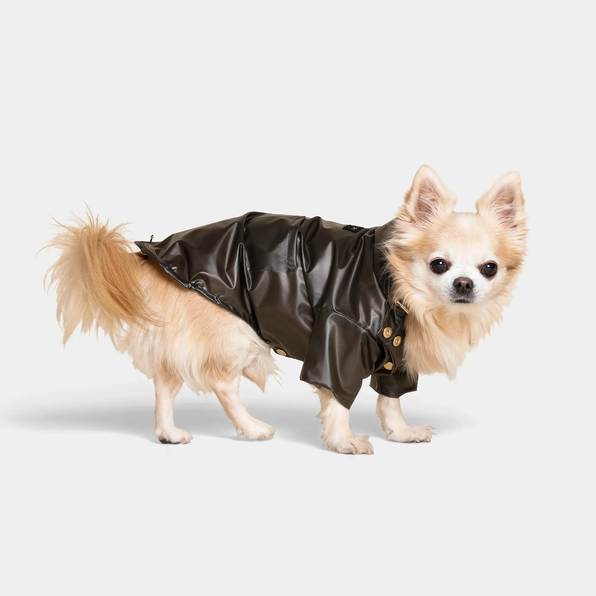 Perini Dog Raincoat