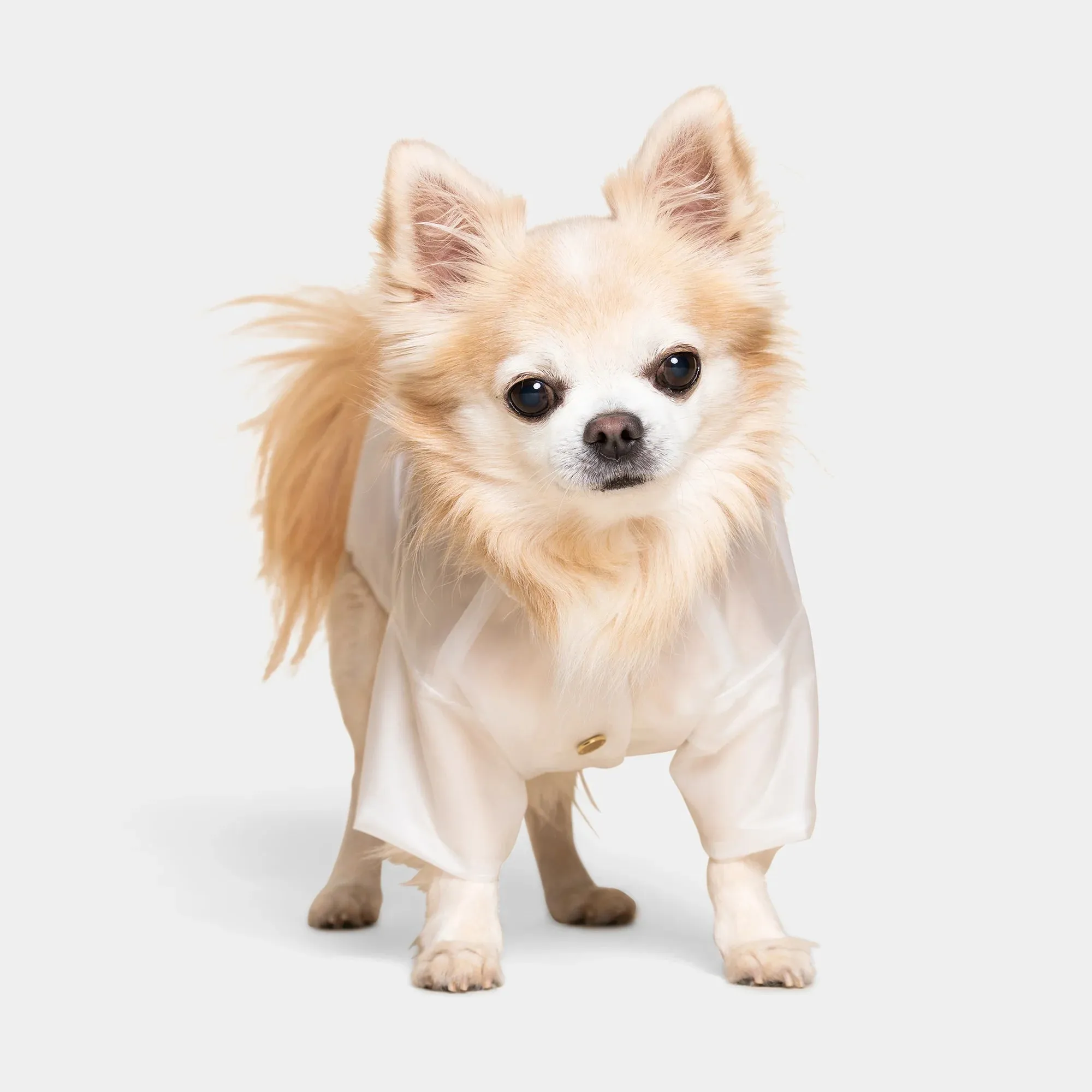Perini Dog Raincoat