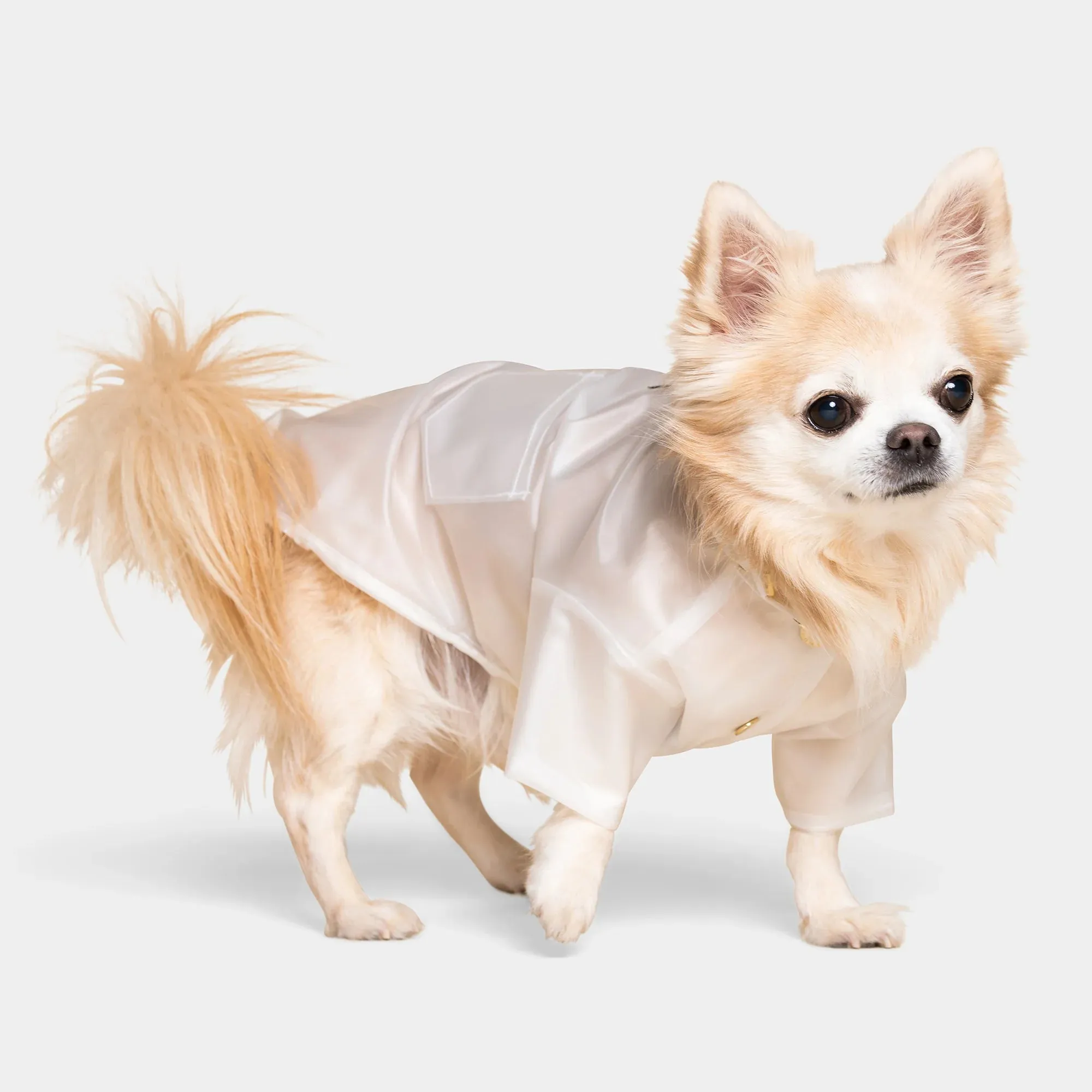 Perini Dog Raincoat