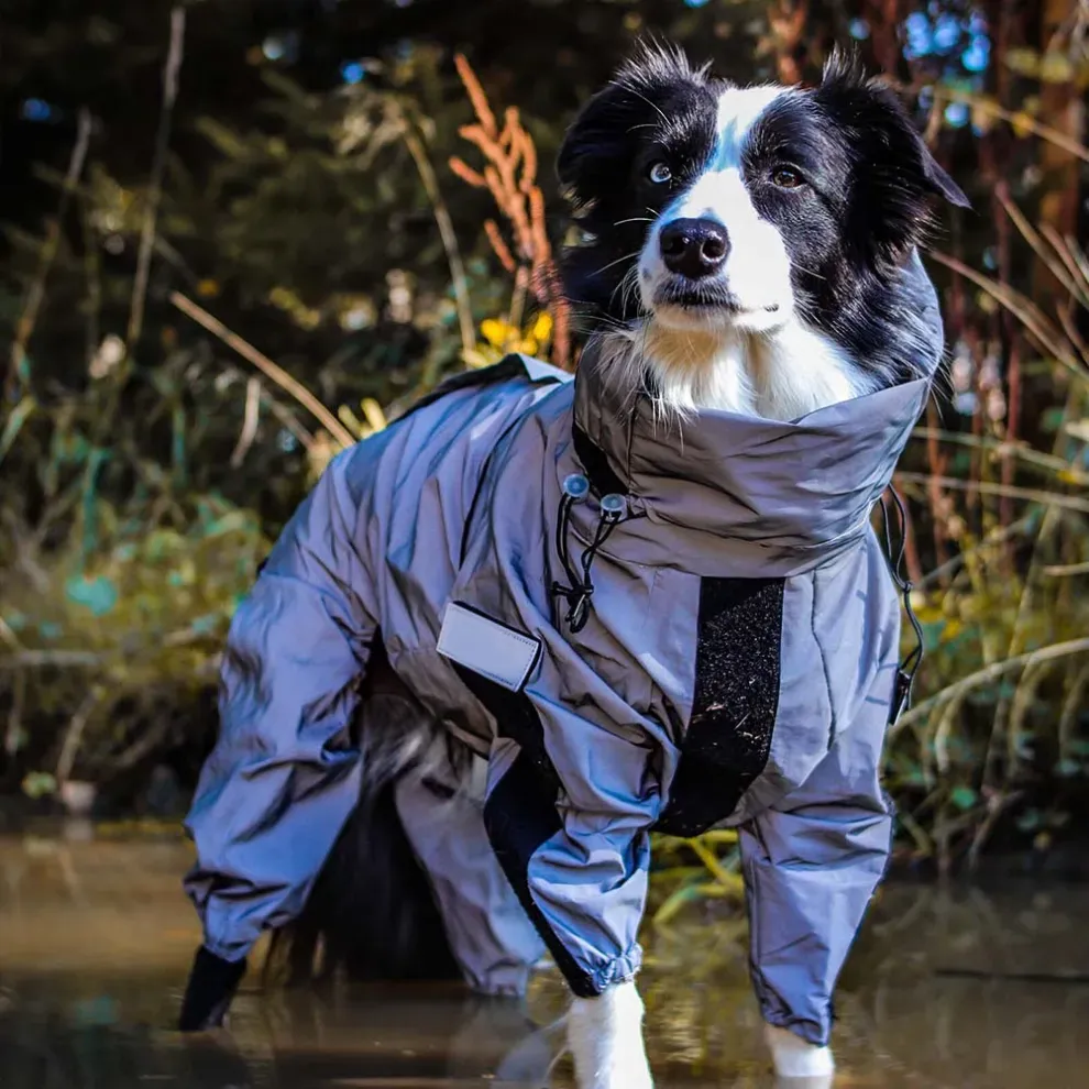 Reflective All-weather Space Coat Waterproof Dog Raincoat