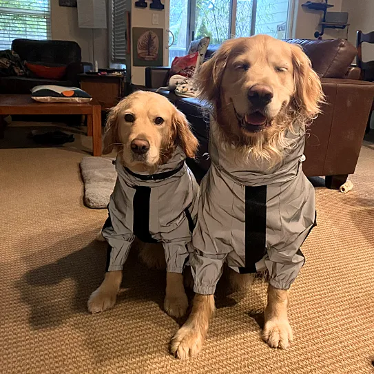 Reflective All-weather Space Coat Waterproof Dog Raincoat