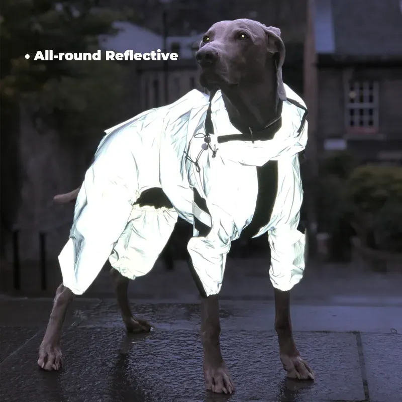Reflective All-weather Space Coat Waterproof Dog Raincoat