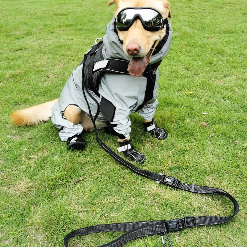 Reflective All-weather Space Coat Waterproof Dog Raincoat