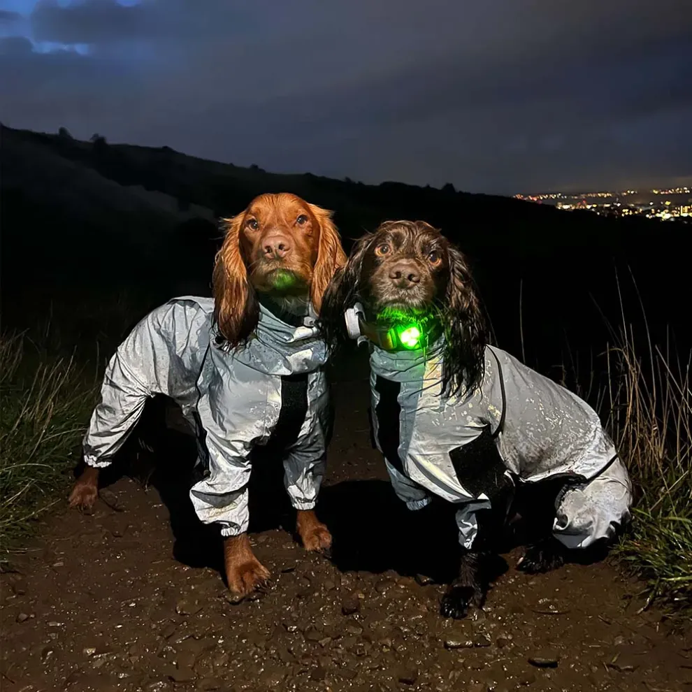 Reflective All-weather Space Coat Waterproof Dog Raincoat