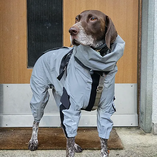 Reflective All-weather Space Coat Waterproof Dog Raincoat