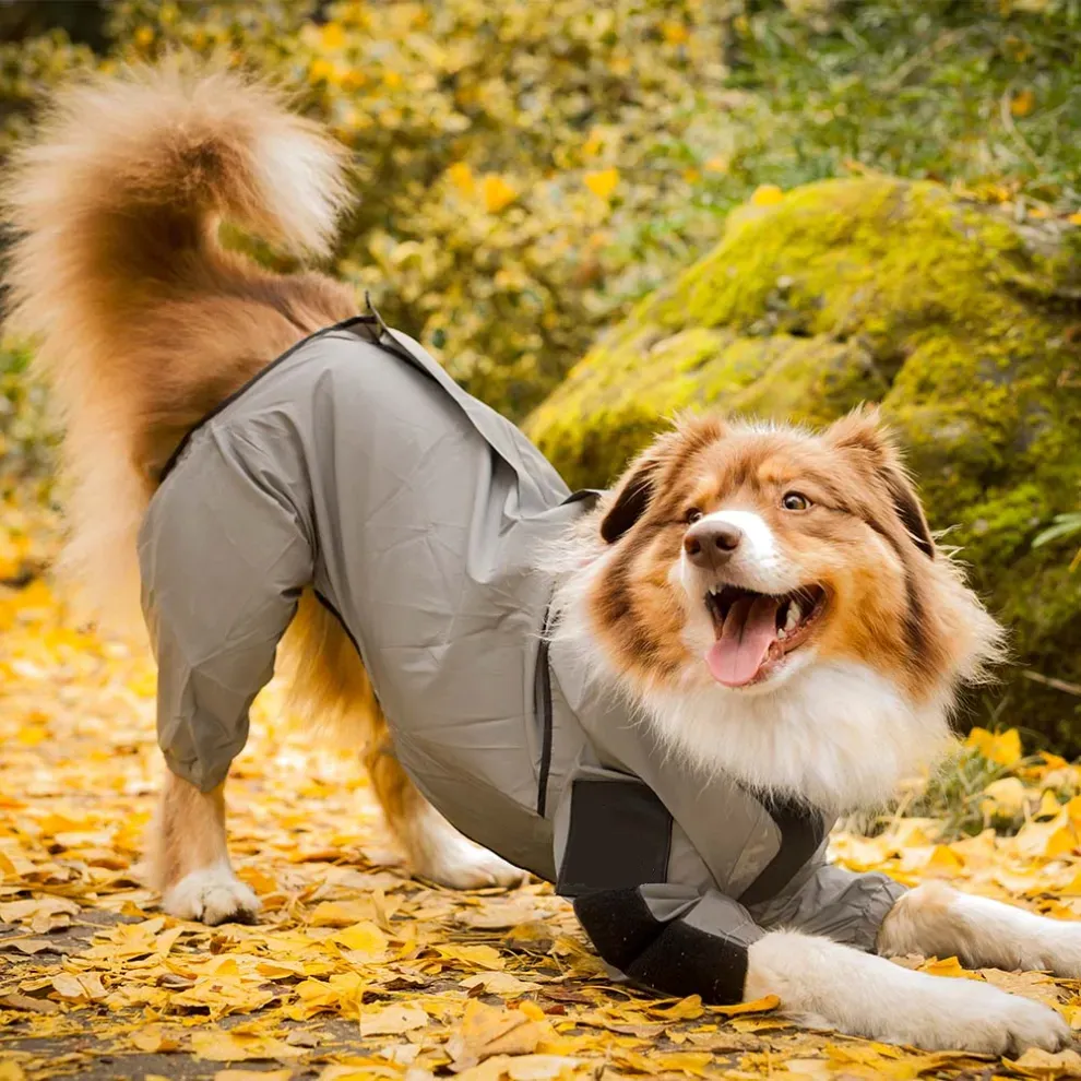 Reflective All-weather Space Coat Waterproof Dog Raincoat