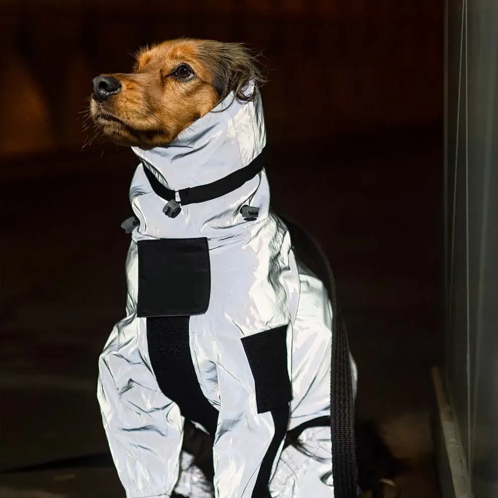 Reflective All-weather Space Coat Waterproof Dog Raincoat