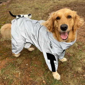 Reflective All-weather Space Coat Waterproof Dog Raincoat