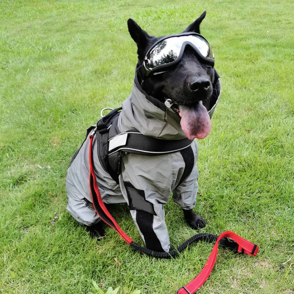 Reflective All-weather Space Coat Waterproof Dog Raincoat