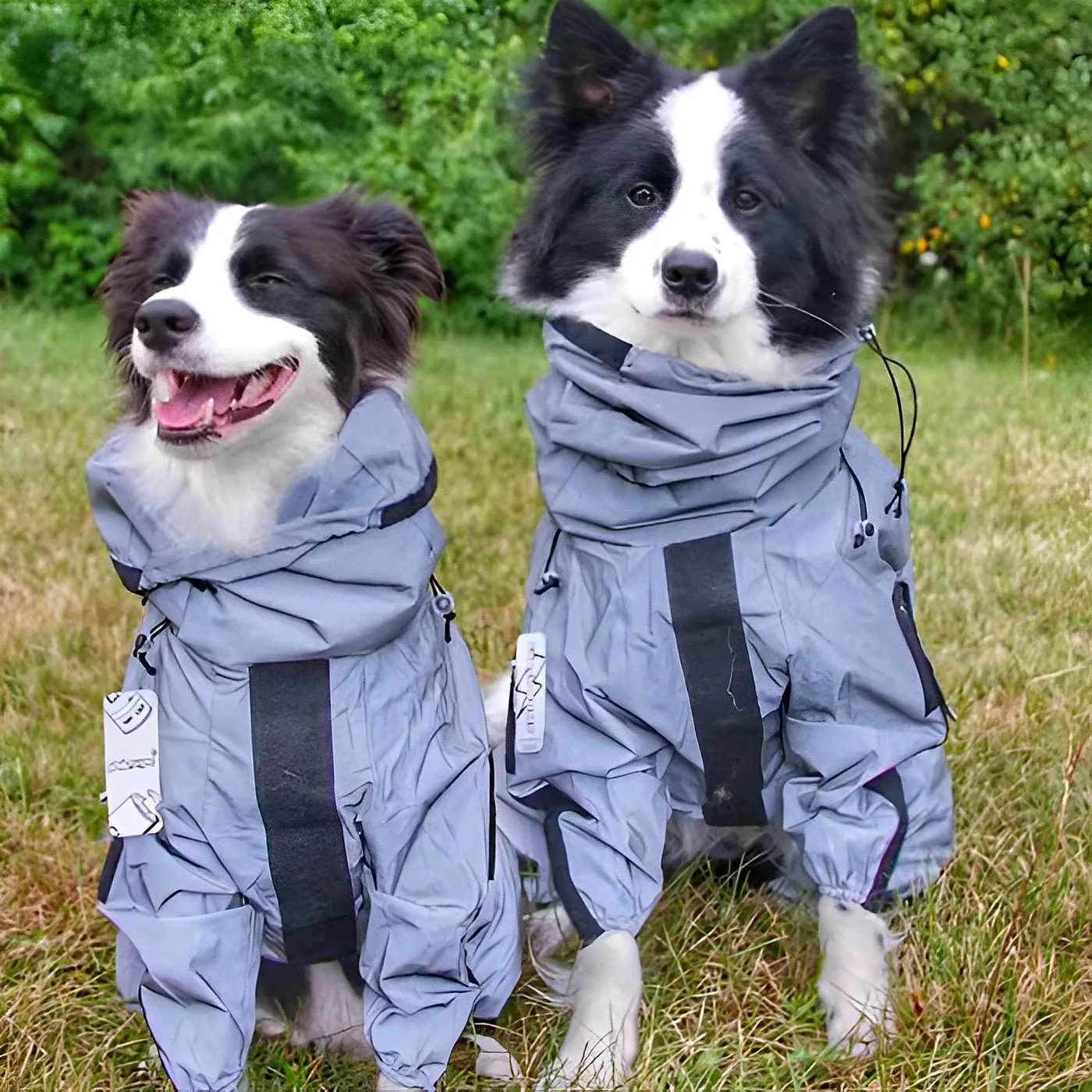 Reflective All-weather Space Coat Waterproof Dog Raincoat
