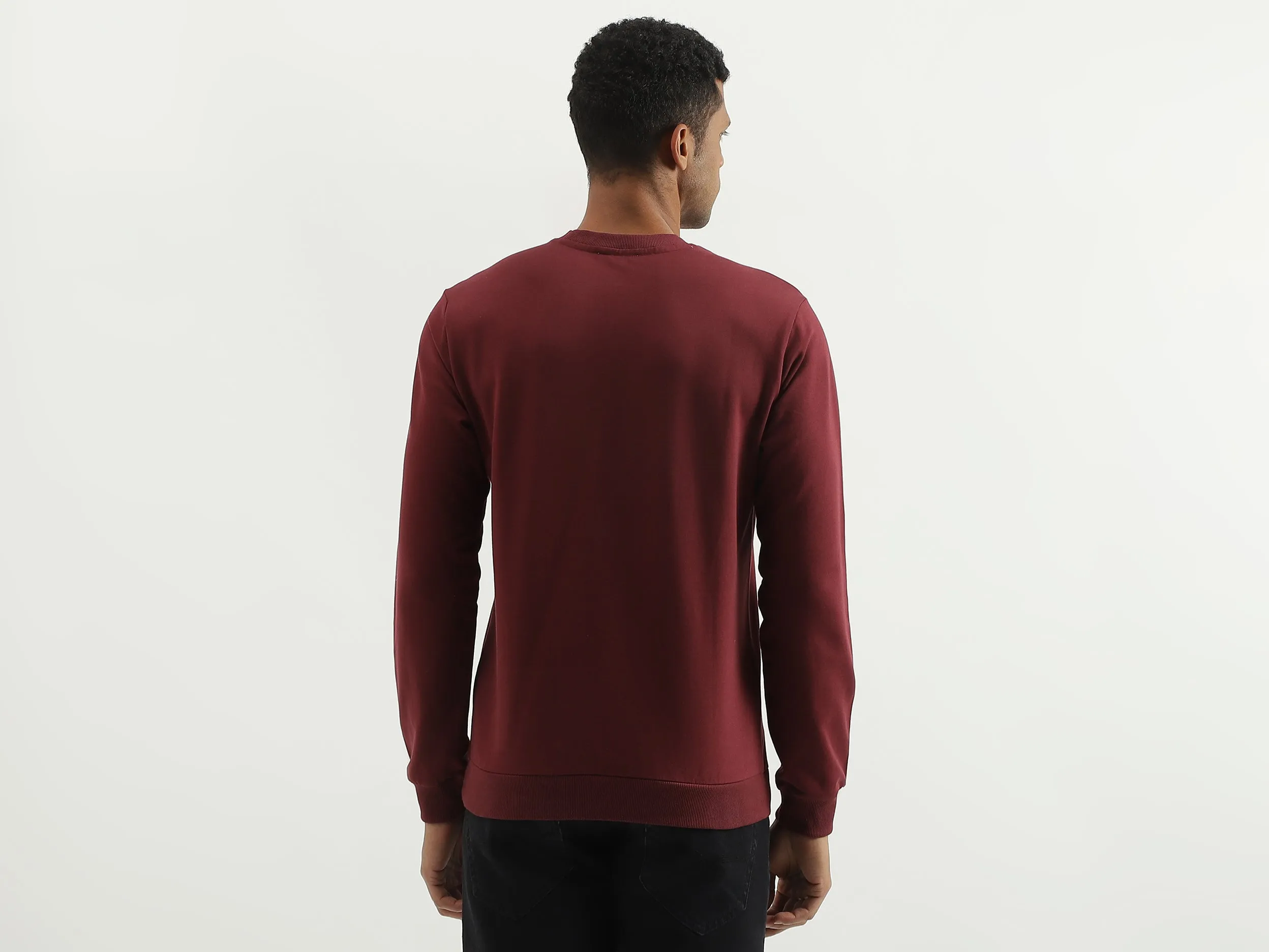 Regular Fit Round Neck Solid Sweatshirt