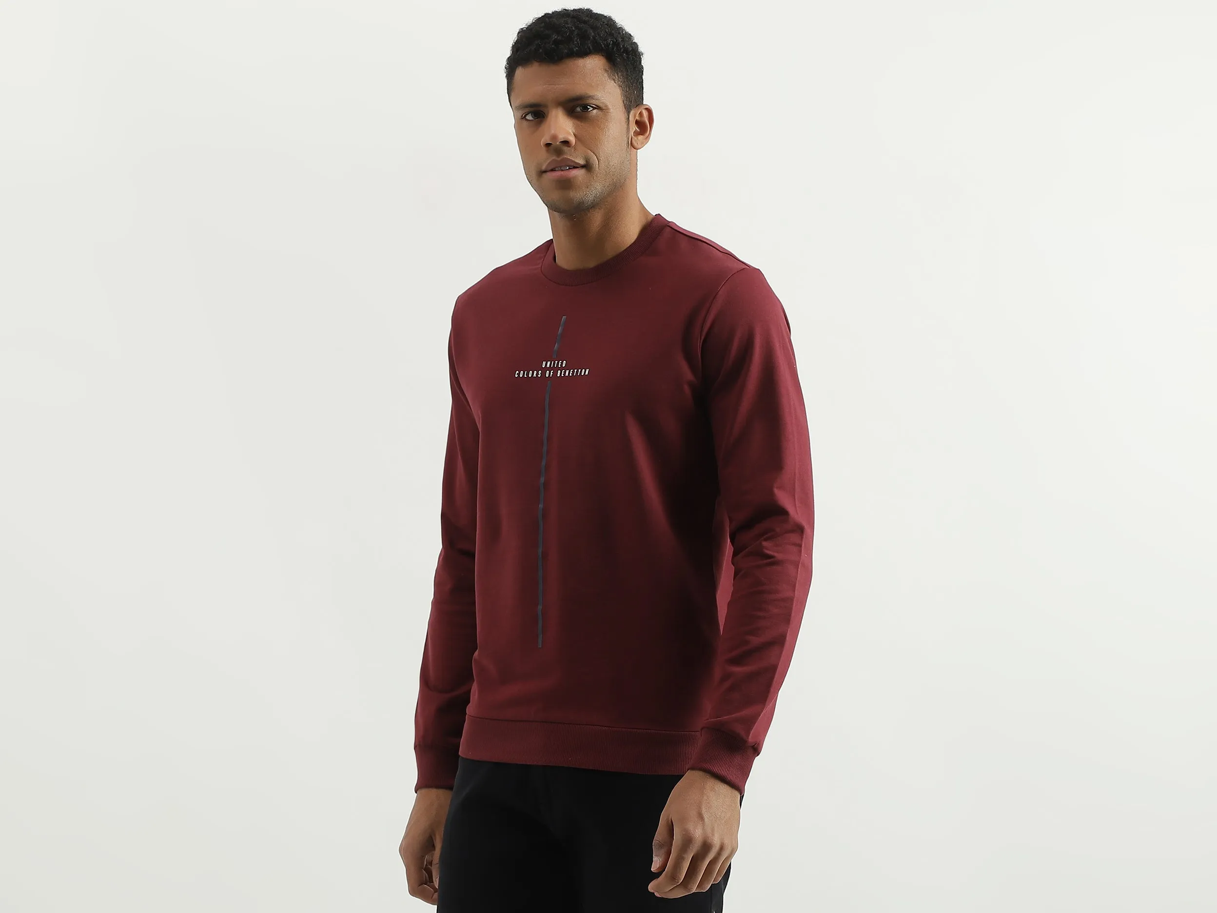 Regular Fit Round Neck Solid Sweatshirt