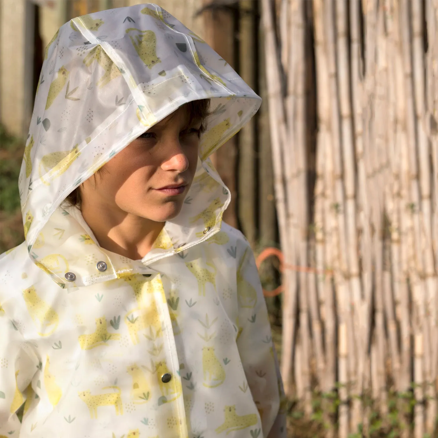 Translucent / Rainy - Leopard - Clear PUL