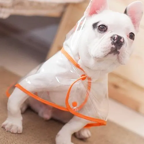 TRANSPARENT DOG RAINCOAT JACKET