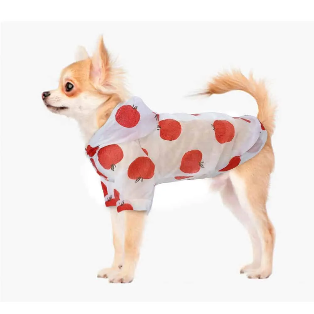 Transparent Patterned Small Dog Raincoat