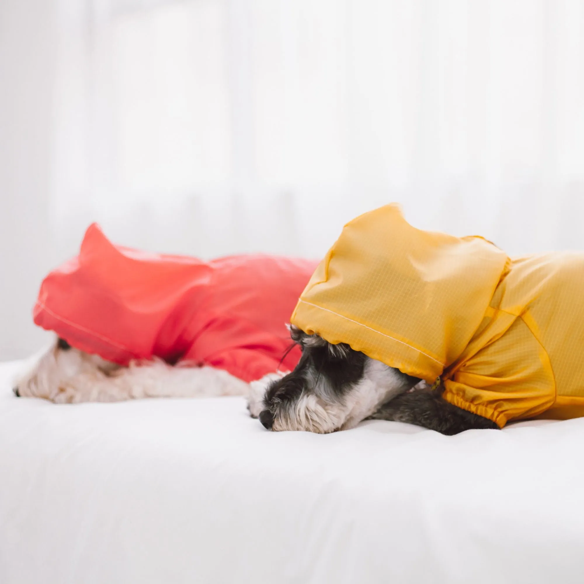 Waterproof Dog Raincoat Fashion