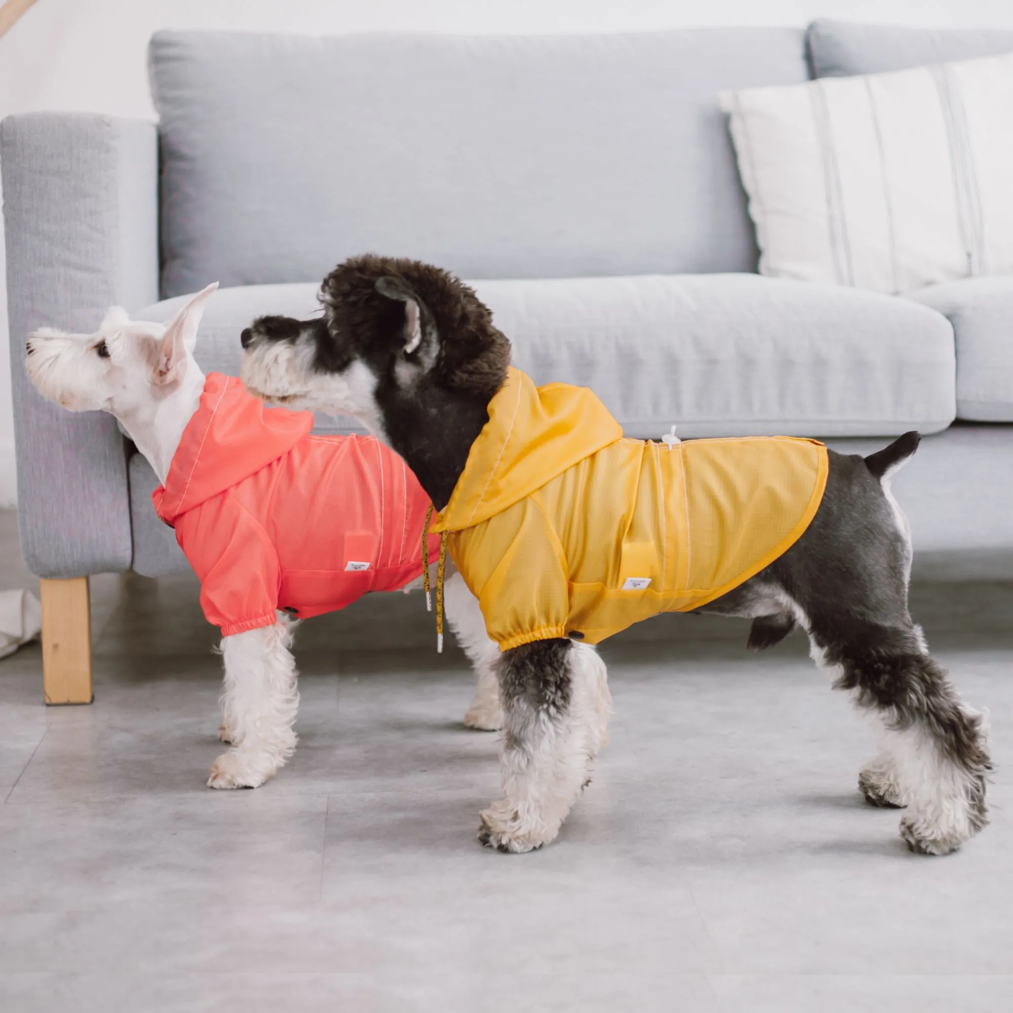 Waterproof Dog Raincoat Fashion