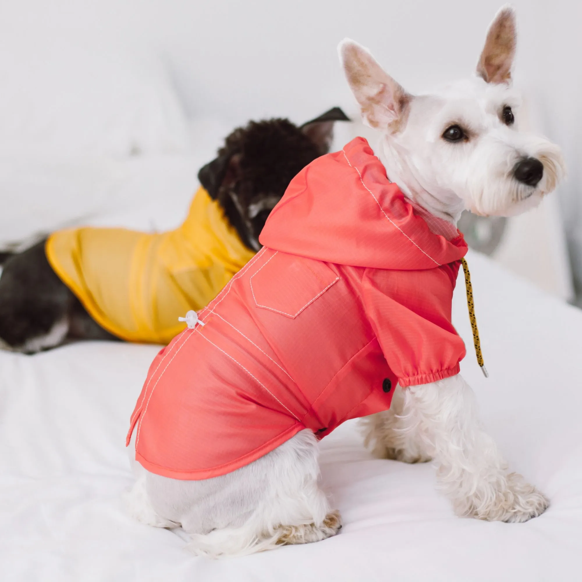 Waterproof Dog Raincoat Fashion
